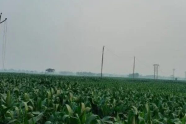 Screenshot 20260312 202739 Chrome