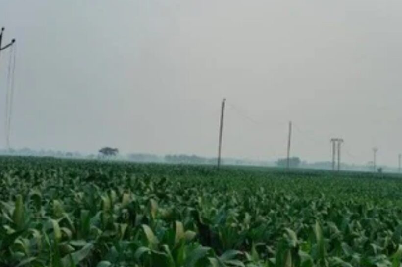 Screenshot 20260312 202739 Chrome