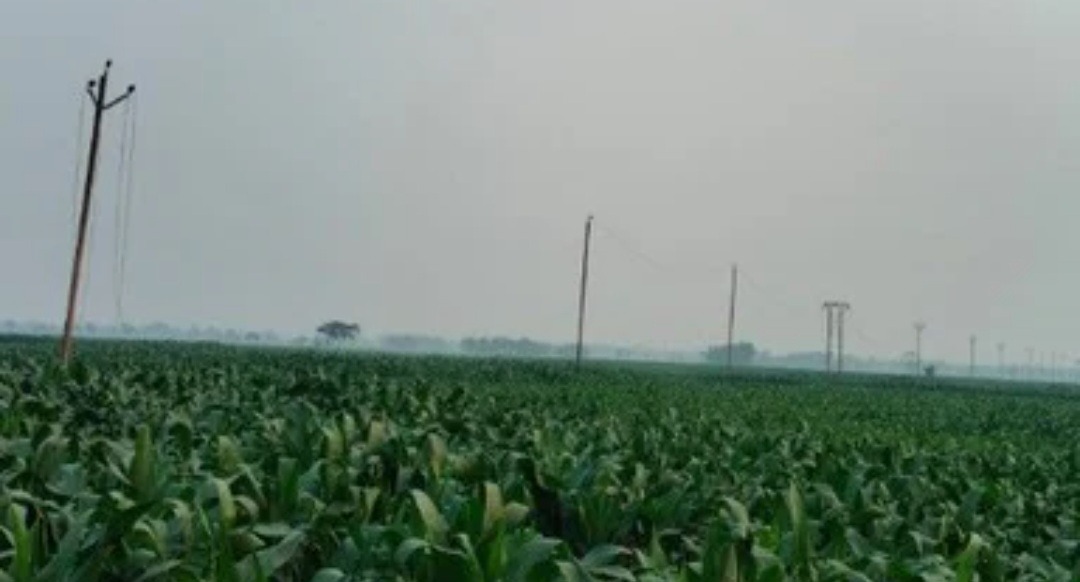 Screenshot 20260312 202739 Chrome